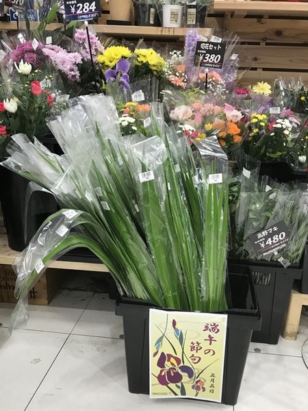 20170505こどもの日02
