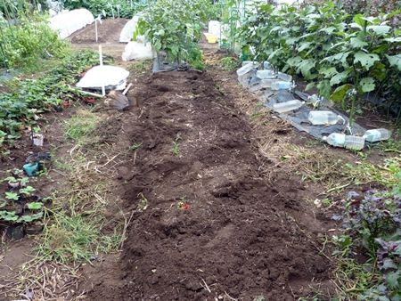 20160924植え付け準備02