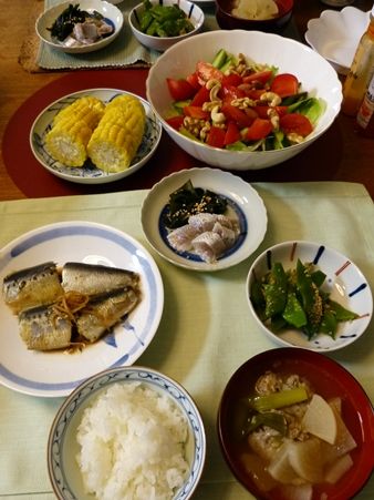 20170703イワシ01