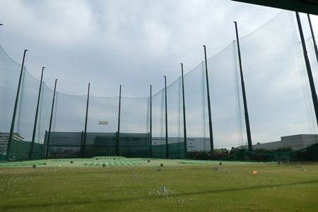 20180407普賢象07