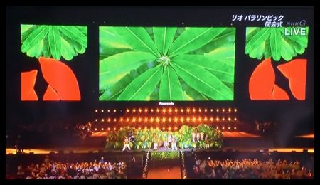 20160919リオパラリンピック02