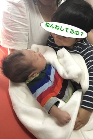 20180429ベビー誕生03