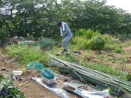 20170620草取り01
