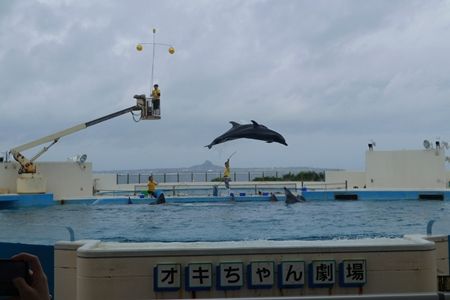20180424沖縄旅行10