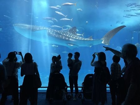 20180424沖縄旅行07