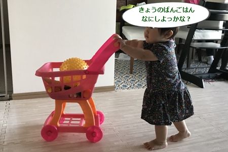 20180501鳥取ミッション06