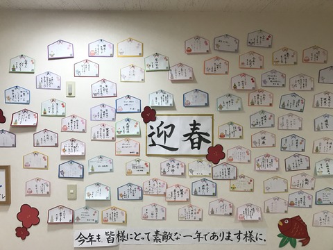 4902d485.jpg