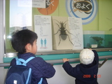 動物園1