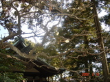鶴岡八幡宮2