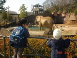 動物園3−1