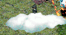0904080001