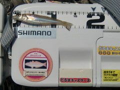 CIMG0790