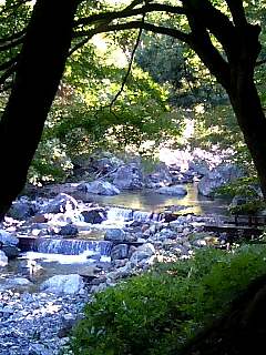 061009_0756~0001.jpg