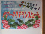 P1000041
