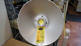 DSC00005