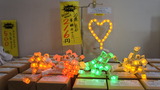DSC00008