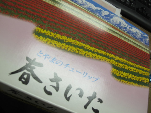 toyama 002