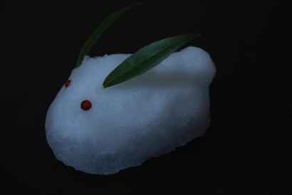 ゆきうさ