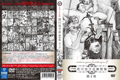 h_1096bdsm061pl