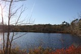 th_IMG_5822