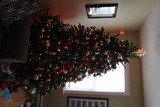 th_IMG_6985