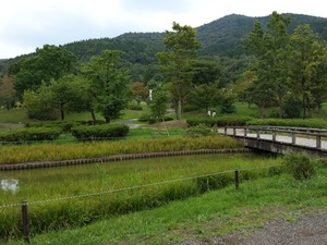 20160911_135202