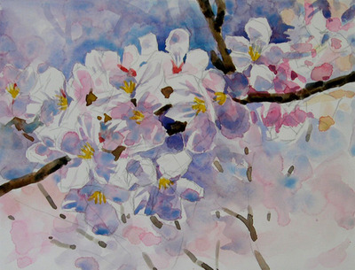 水彩画の描き方 「桜」完成 : おさむの透明水彩画教室(Osamu's