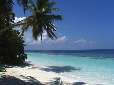 Maldives
