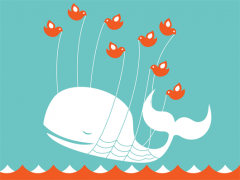 fail-whale-240x180