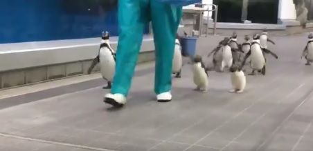 llll