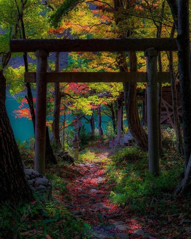 aa