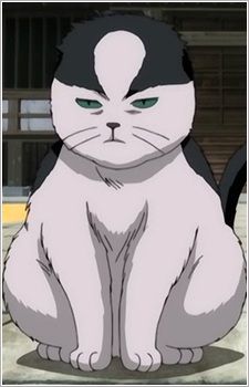 121