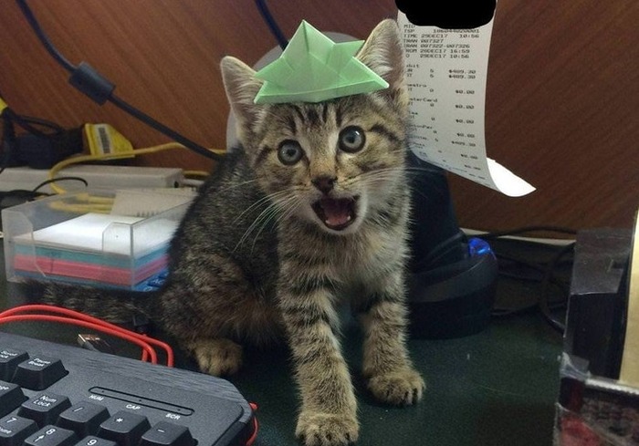 aa