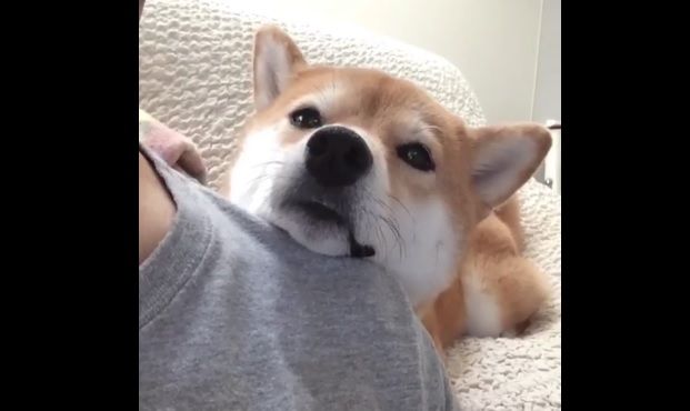jj