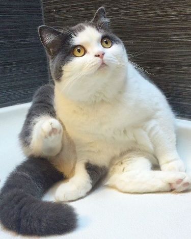 1222
