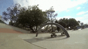 skeboneko