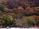 dd3005b4.jpg
