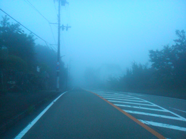 SN3N0081