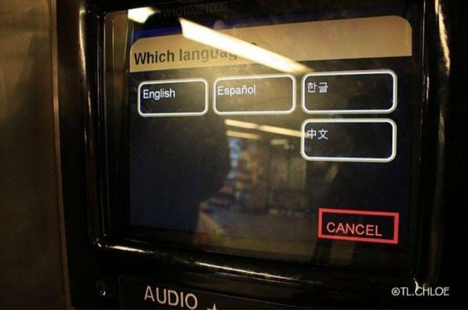 yWbvߕzčŁAɊ؍ꂪǉA{͖  	->摜>3 