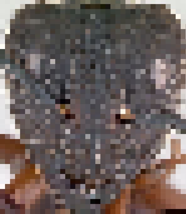 00022501