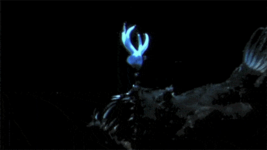 00023679