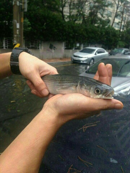 00009084