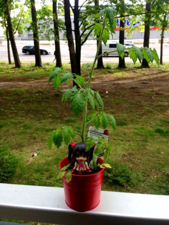 クリップボード40