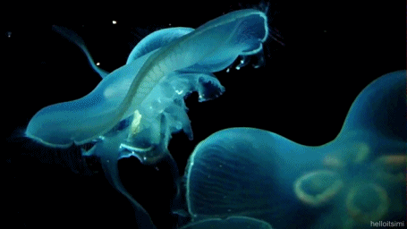 00023687