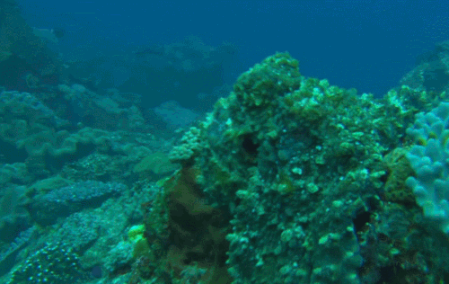 00021096