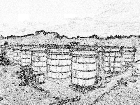 3-marugata-5