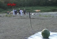 27c4f612.jpg