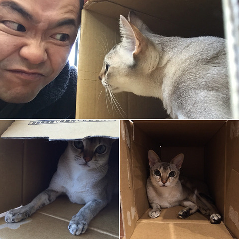 4月_キキ