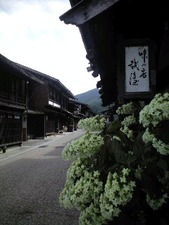 4795b376.jpg