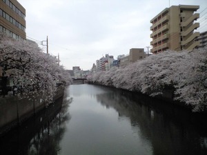 携帯から取込 016
